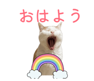 840581361