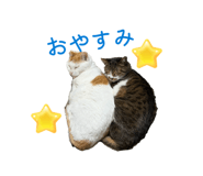 840581362