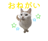 840581363