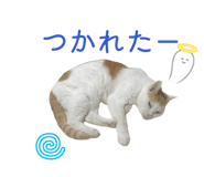 840581365