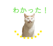 840581367