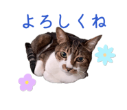 840581368