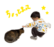 840582462
