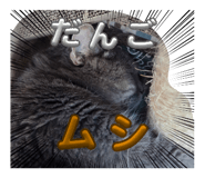 840582654