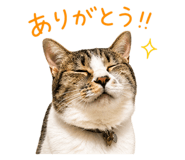 840583020
