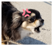 840583144