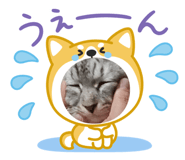 840583260