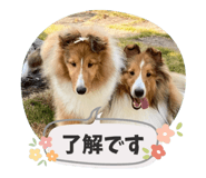 840584313