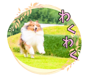 840584340