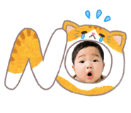 840602080