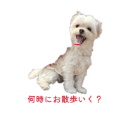 840602951