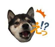 840603089