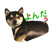 840603090