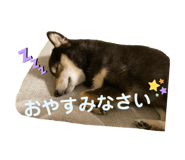 840603091