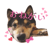840603092
