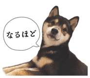 840603093