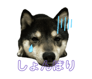 840603094