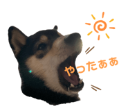 840603095