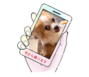 840603157