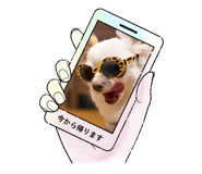 840603159
