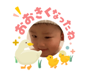 840603304