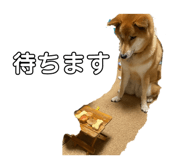 840603362