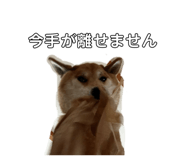 840603364