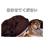 840603374
