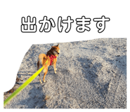 840603375