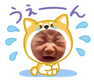840604037