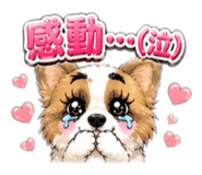 840604323