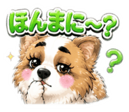 840604327