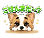 840604334