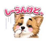 840604337