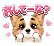 840604339
