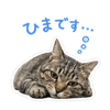 840604350