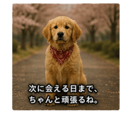 840605447