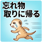 840606325