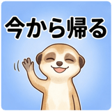 840606333