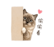 840611353