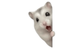 840611494