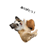 840612706