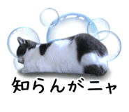 840613847