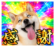 840615329