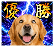 840615337
