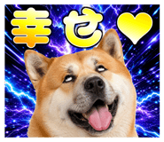 840615340