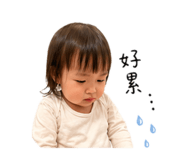 840615530