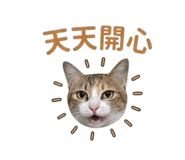 840616689