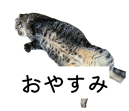 840616934