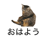 840616935
